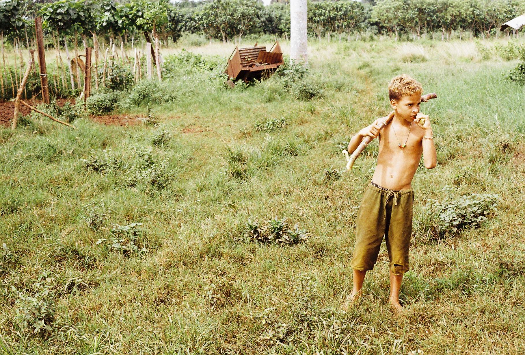 Still de fotografía