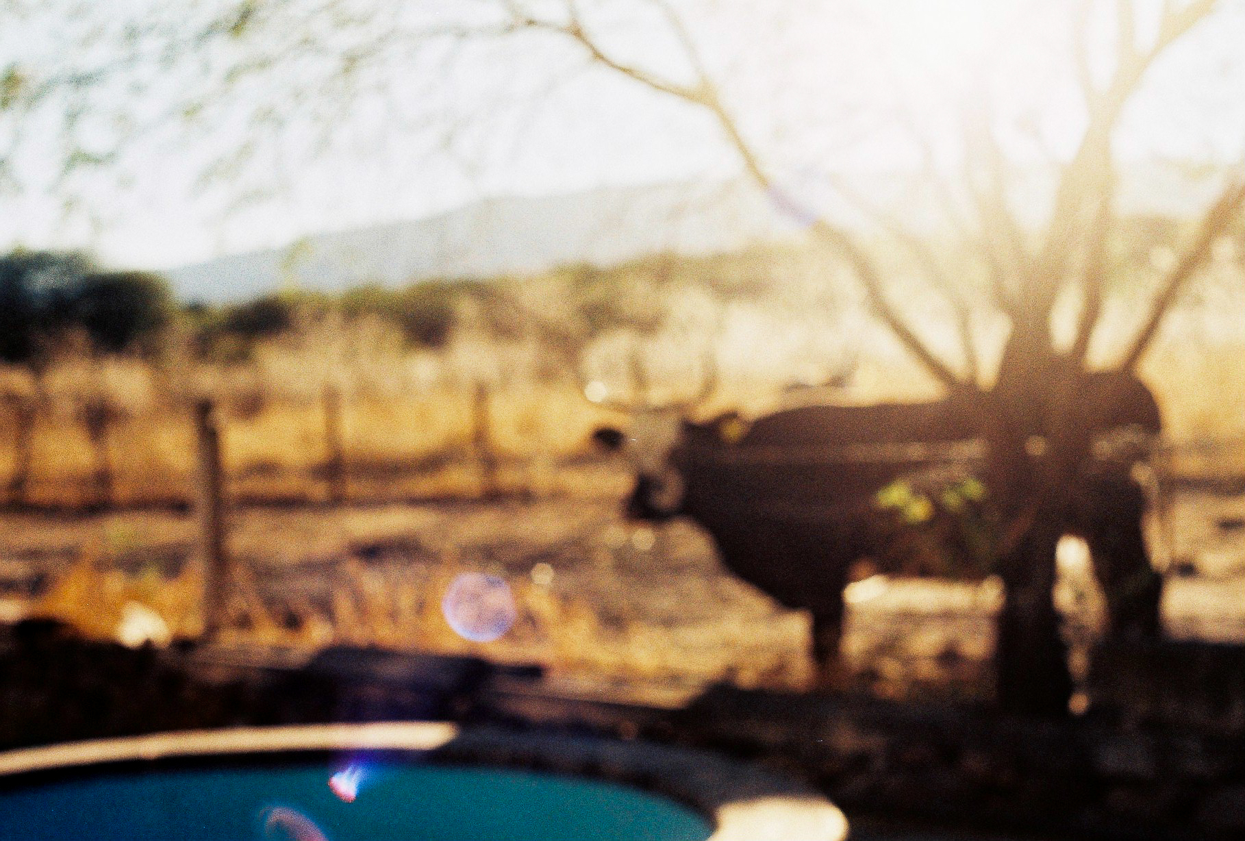 Still de fotografía