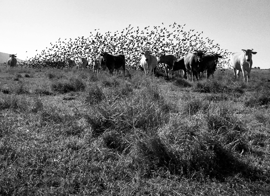 Still de fotografía