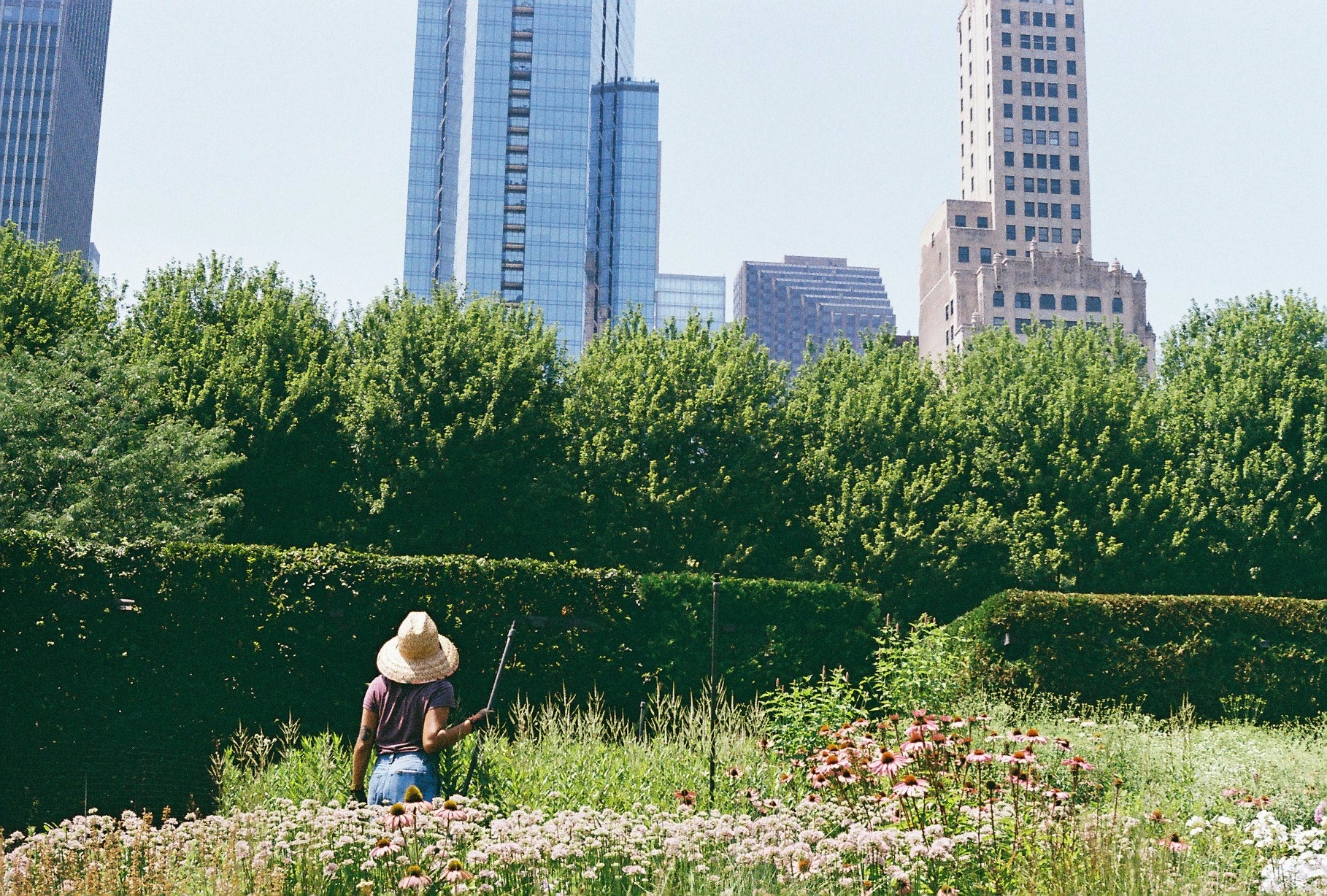 Still de fotografía